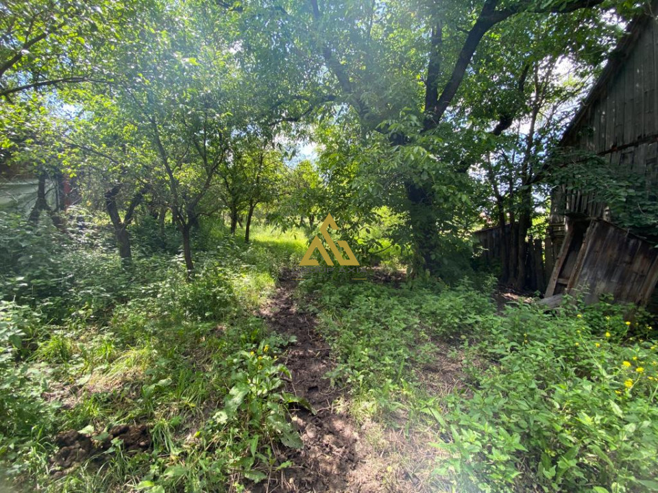 Casa veche Paniceni cu teren de 1600 mp