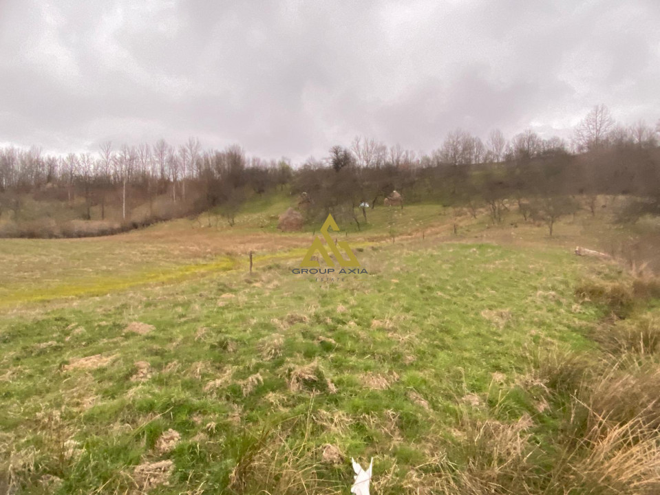 Vanzare teren cu o mica livada de 4000 mp,  la 6 km de comuna Ciucea