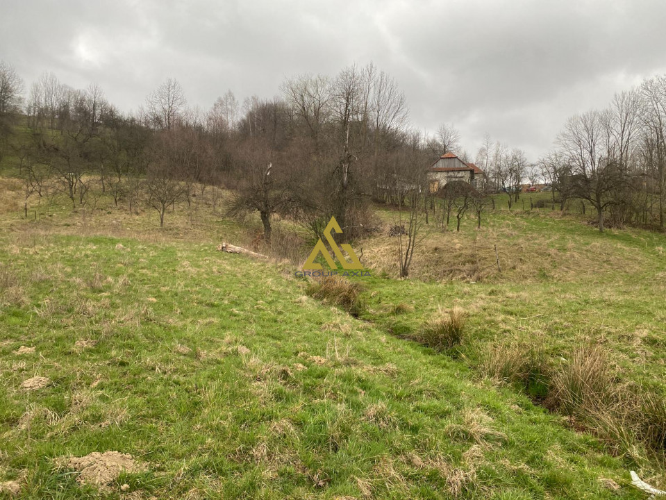 Vanzare teren cu o mica livada de 4000 mp,  la 6 km de comuna Ciucea
