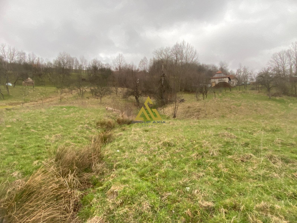 Vanzare teren cu o mica livada de 4000 mp,  la 6 km de comuna Ciucea