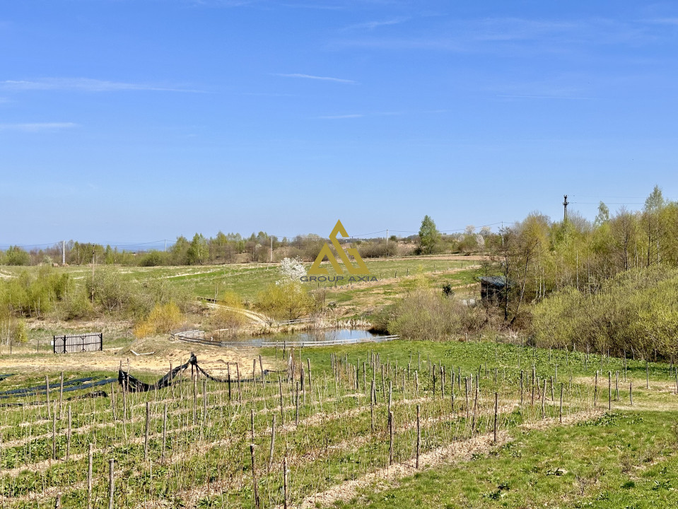 Teren Dangau Mare, casa, plantatii, lac, utilitati, 12.500 mp