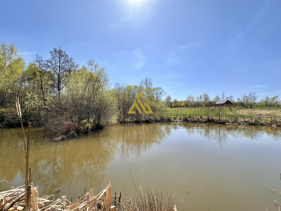 Teren Dangau Mare, casa, plantatii, lac, utilitati, 12.500 mp