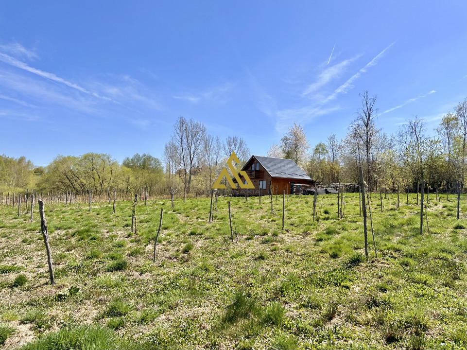 Teren Dangau Mare, casa, plantatii, lac, utilitati, 12.500 mp