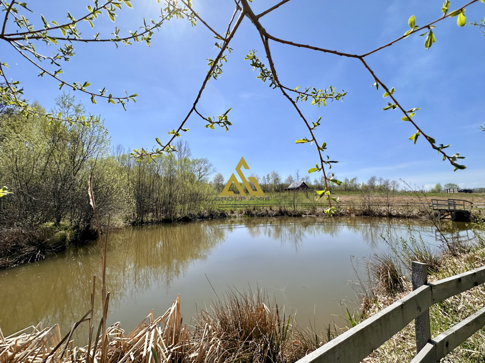 Teren Dangau Mare, casa, plantatii, lac, utilitati, 12.500 mp