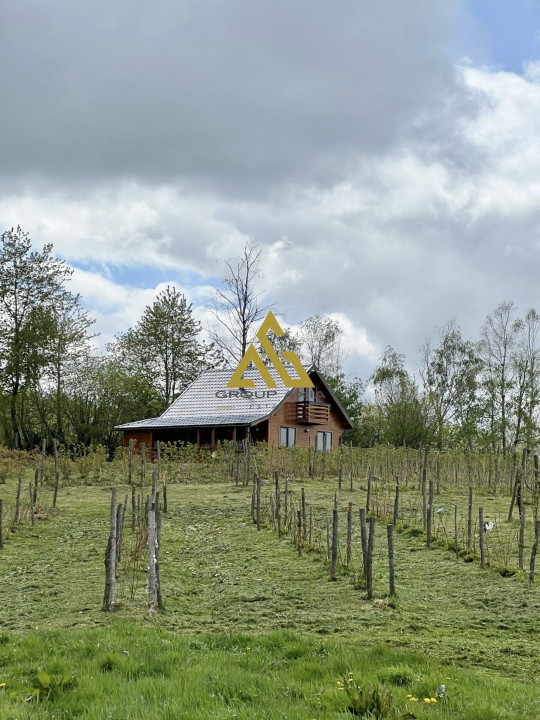 Teren Dangau Mare, casa, plantatii, lac, utilitati, 12.500 mp