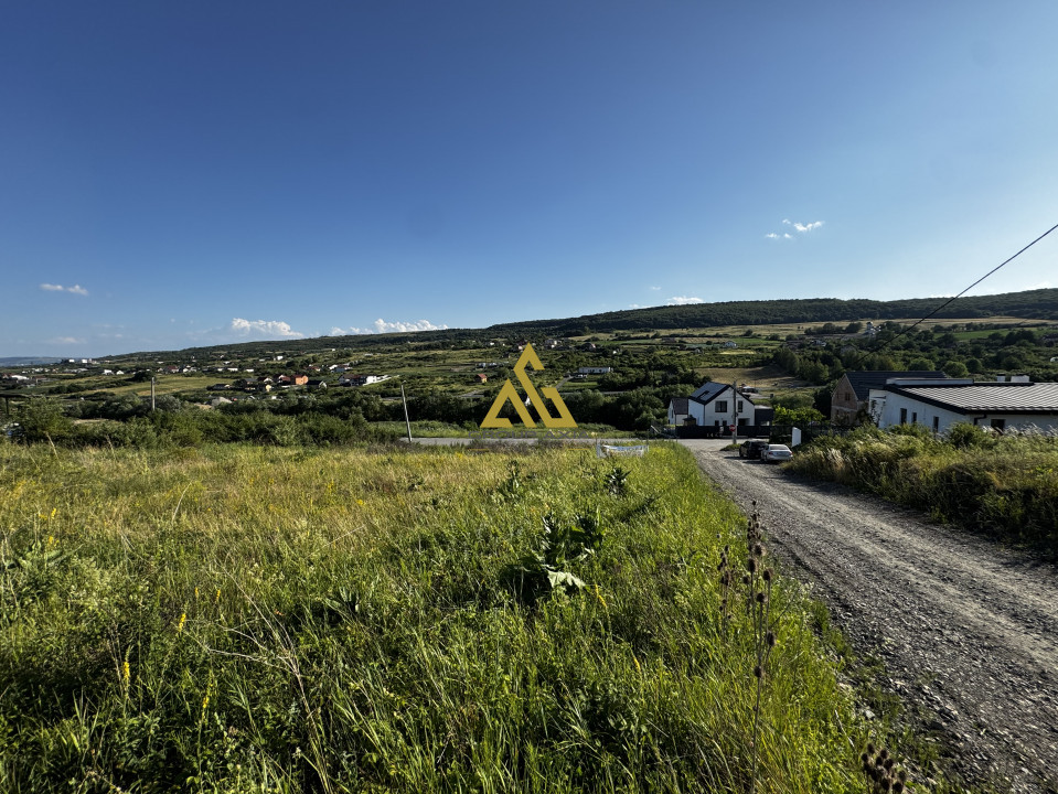 Teren in Chinteni, Muntii Oasului, 1000 mp, front de 36 ml